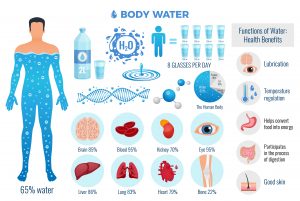 Drinking Water impacts your day to day functionality