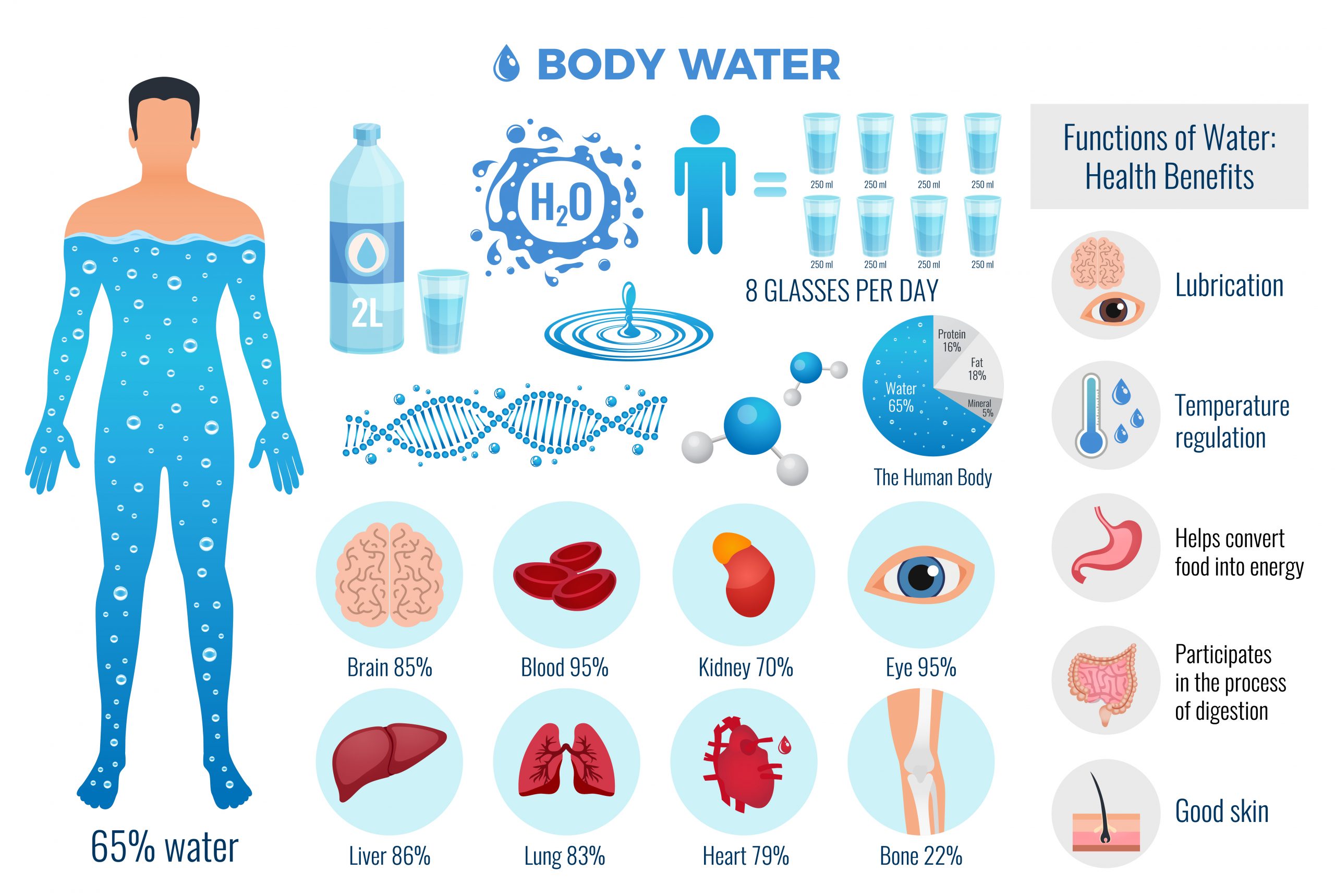 Drinking Water impacts your day to day functionality